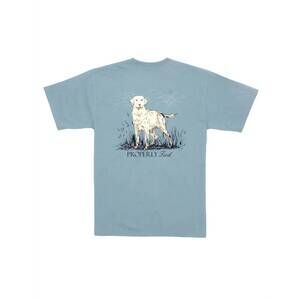 NEW PROPERLY TIED boy's labrador short sleeve tee in steel blue